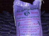 الفاصوليا البيضاء المصرية Egyptian White Kidney Dry Beans