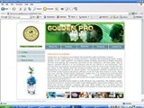 GoldenPro Co For Water Treatment Systems