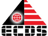 الشركة المصرية للأنظمة الرقمية والخدمات المتكاملة