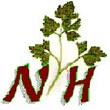 مكتب نورهان لتصدير الأعشاب الطبية والبذور